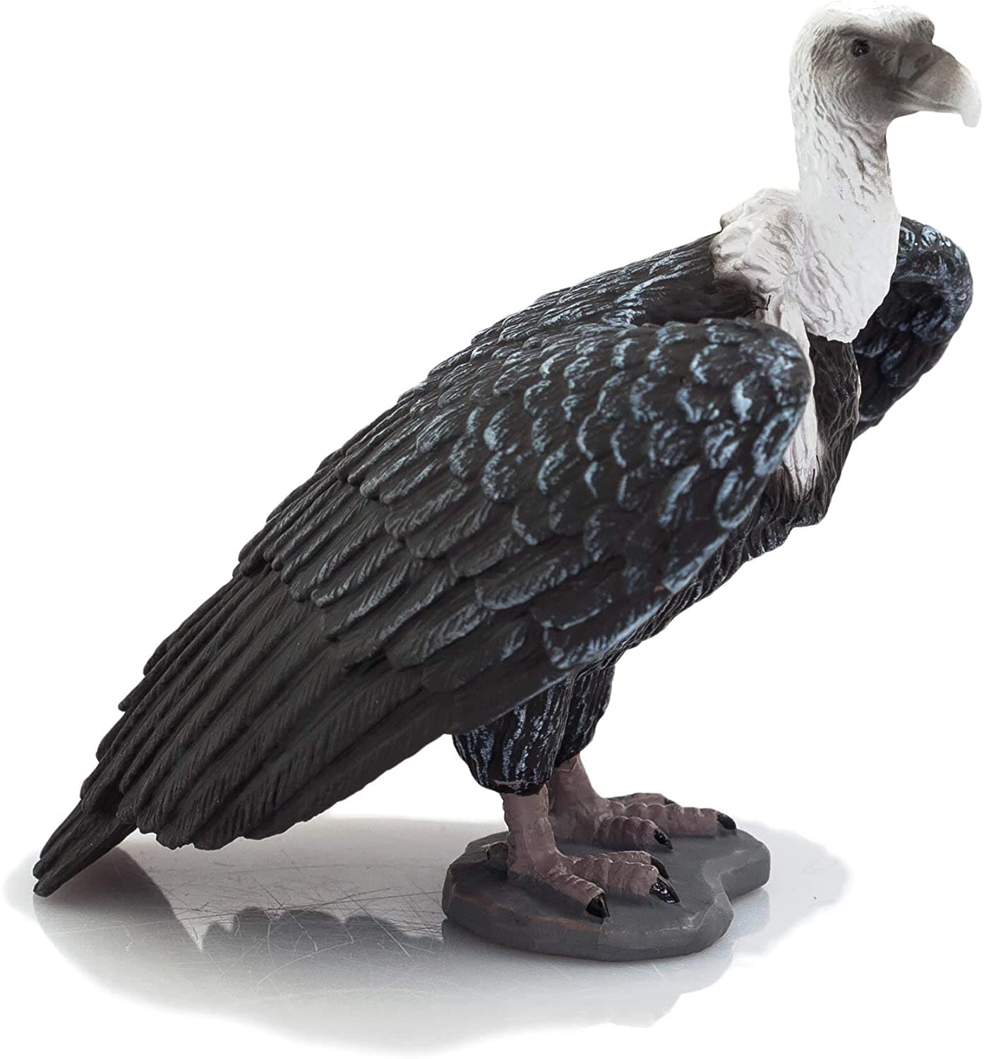 MOJO Griffon Vulture - 3+ years
