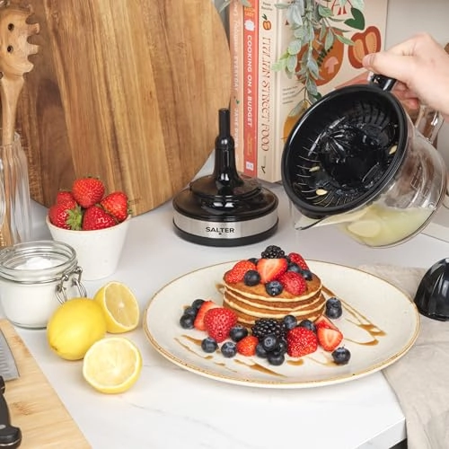 Electric Fruit Juicer - 30W 0.6L