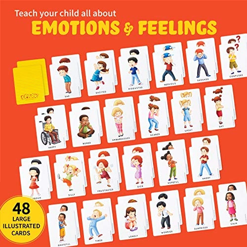 Feelings Flash Cards - 3 years and up 1 pieces