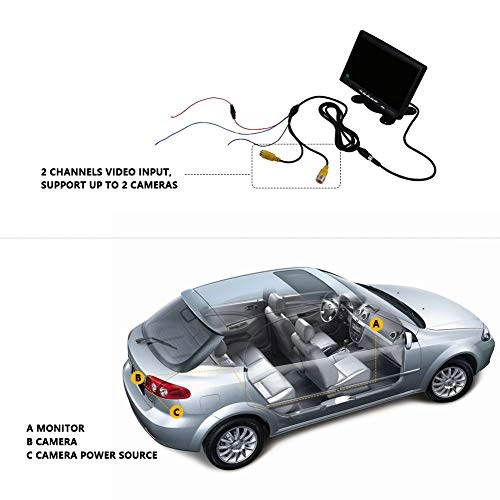 7 Inch LCD Screen