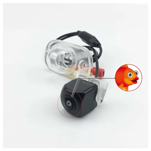 B-FISH EYE-CVBS-CAM - Night Vision