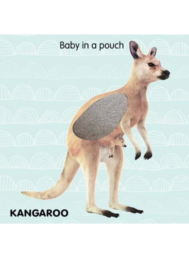 Touch and Feel - Jungle Animals (Book 2)