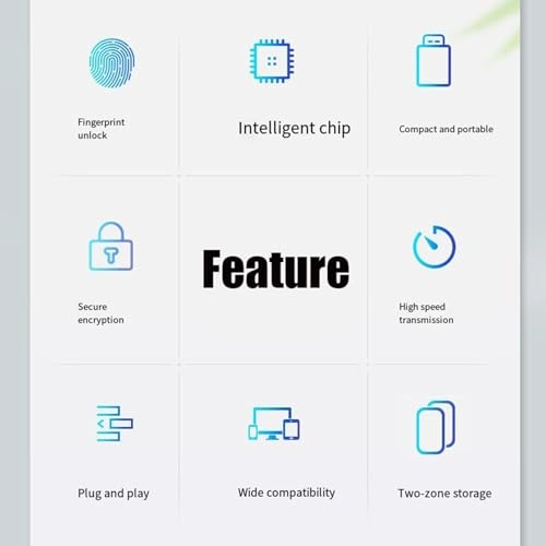 Fingerprint USB flash drive - USB 2.0 256 GB