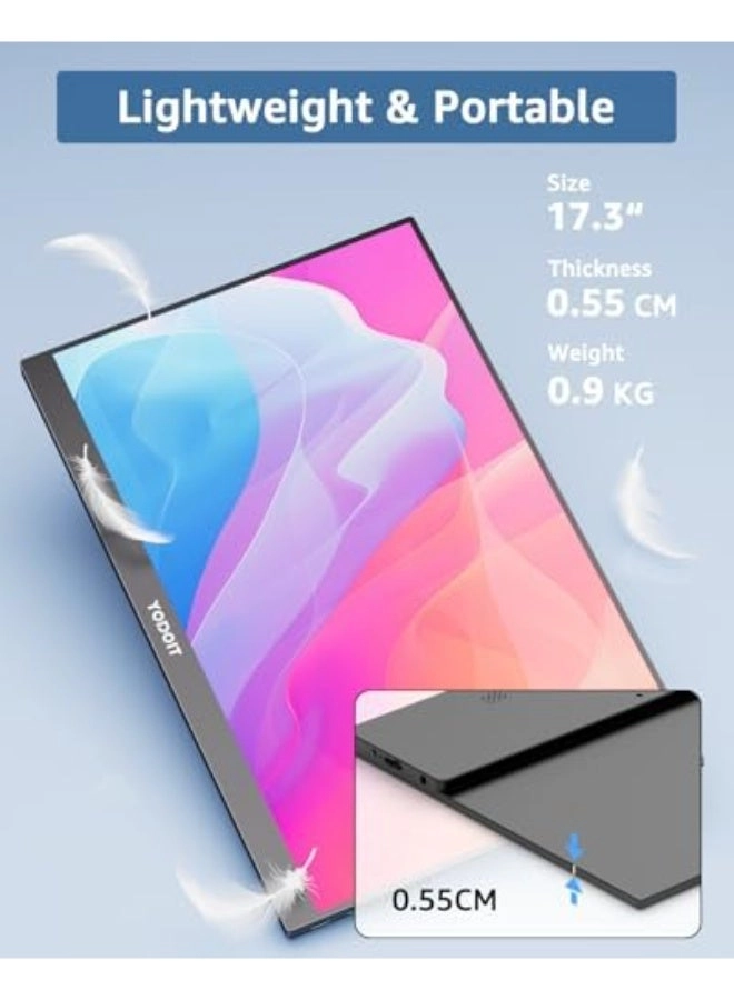 Portable Monitor - Full HD 17.3"