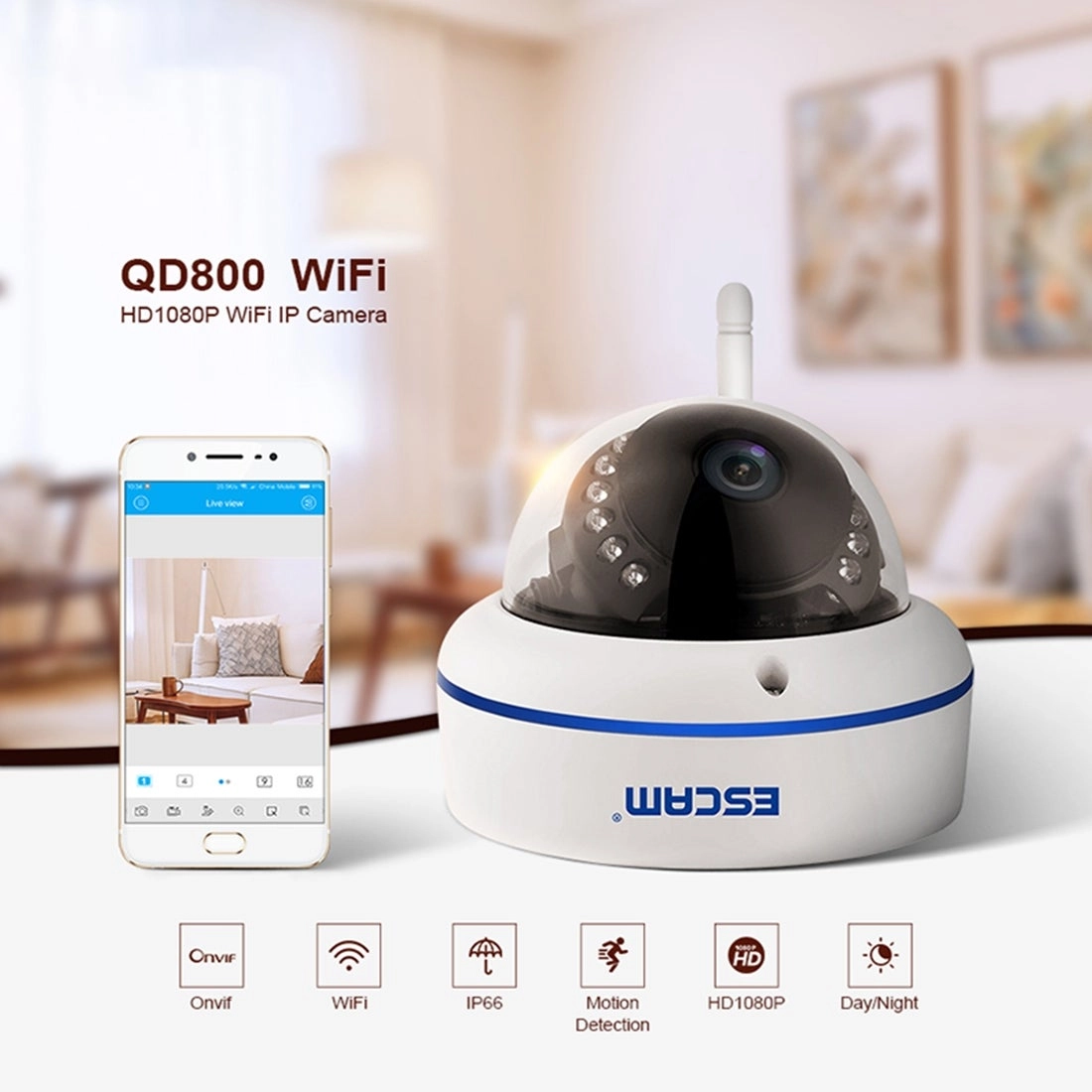 QD800WIFI