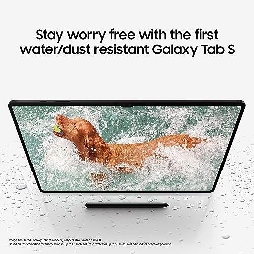 Galaxy Tab S9 Ultra - 512GB 14.6"