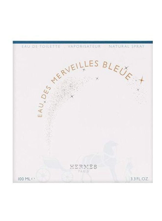 Eau Des Merveilles Eau de Toilette 100ml
