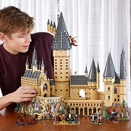 Harry Potter Hogwarts Castle (71043)