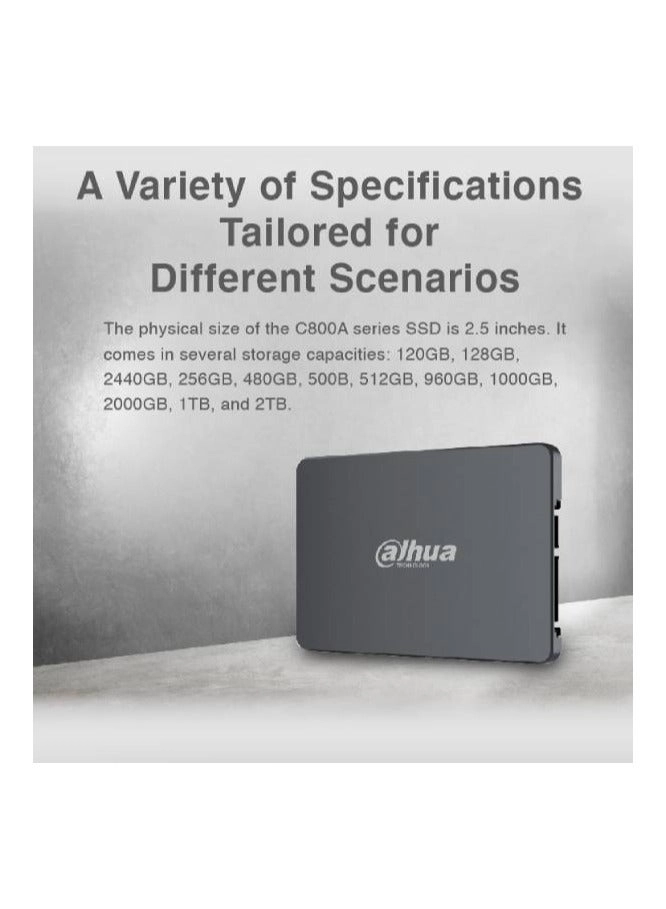 C800A - 1000 GB 2.5-inch