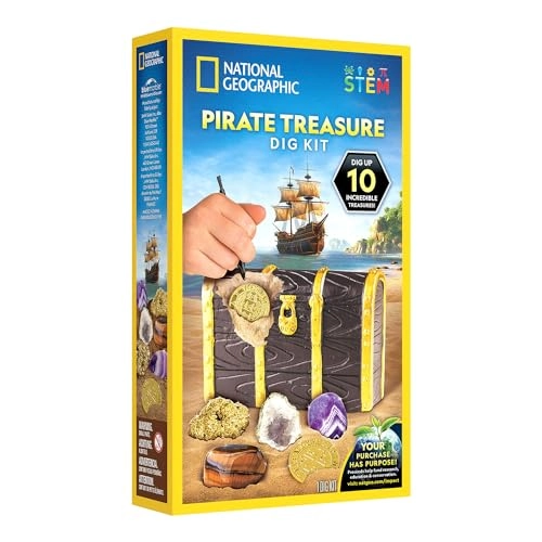 Gold Doubloon Dig Kit - 2 replica gold doubloons 3 real pyrite specimens