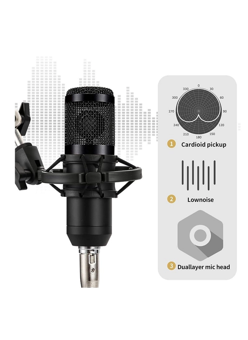 BM-800 + V8 Live Sound Card Wired Microphone