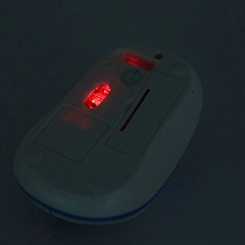 Portable Optical Mouse - USB