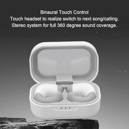 Translation Earphones