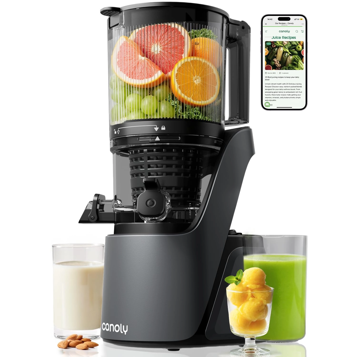 Canoly Juicer - 250 watts 2.6 Liters