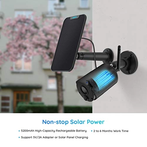 Argus Eco + Solar Panel