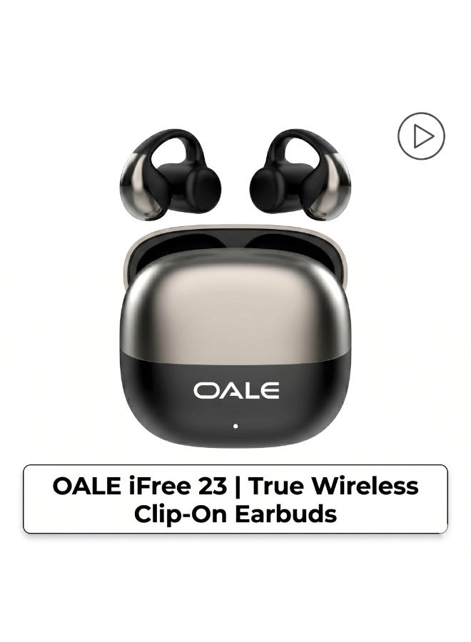 OALE iFree19 Wireless Earbud