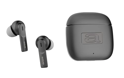 EBTW-200 Wireless Headphone