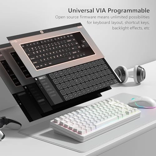 SK75 - DE Wired/Wireless