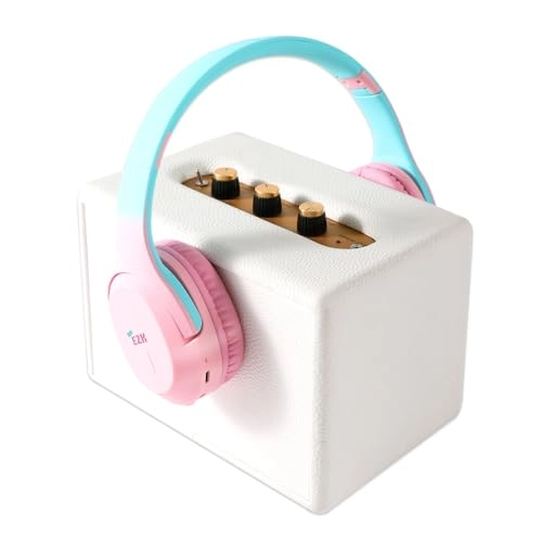 EZ_BTHS_PI Wireless Headset