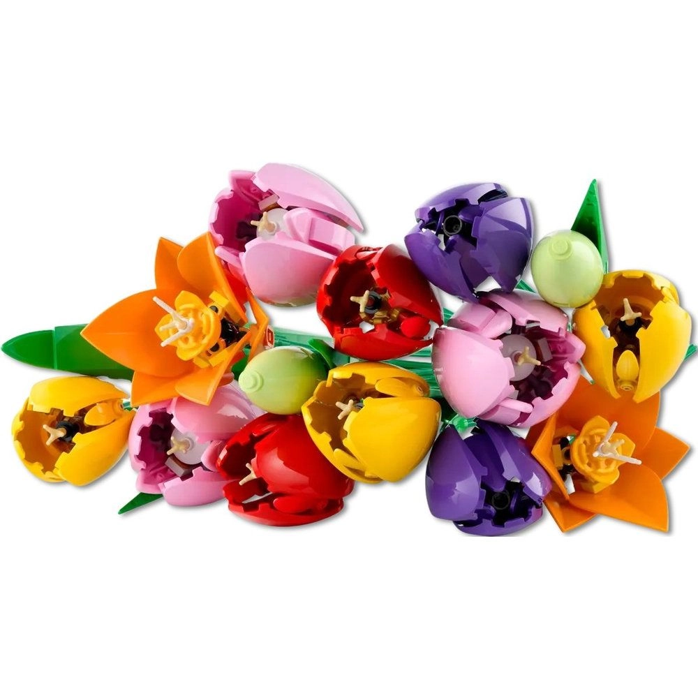 Botanicals Tulip Bouquet (11501)