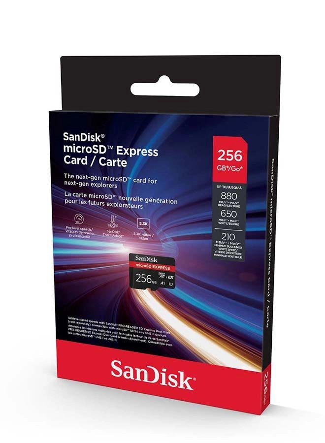 Express microSD U3 256GB