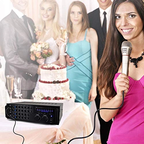 PMXAKB1000 - Dual Mic 1000-Watt