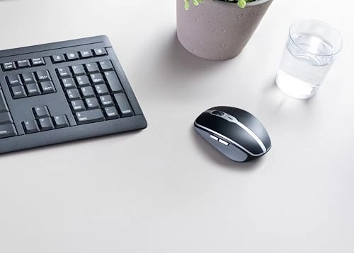 MW 9100 Mouse - Wireless