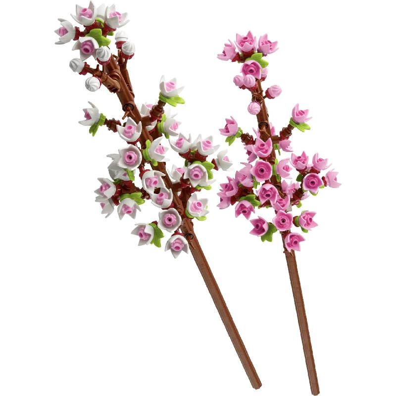 Cherry Blossoms Celebration Gift (40725) - Flowers