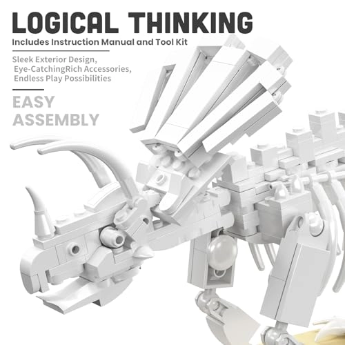 Dinosaur Skeleton Construction Kit (FTDE-29006-0609) - Dinosaur