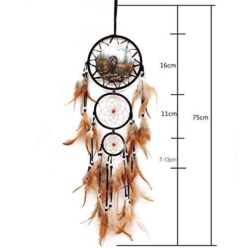 Dreamcatcher - Siderosphere, feathers, lines, wood beads.