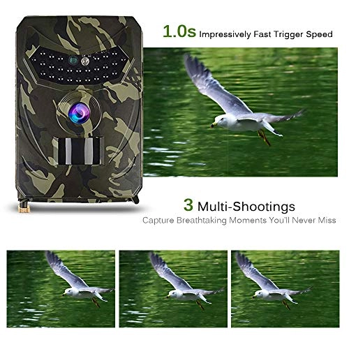 Trail Camera - 12MP