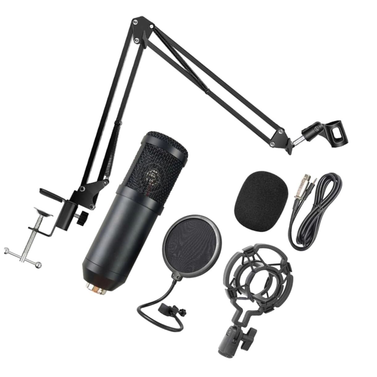 Multipurpose Wireless Microphone