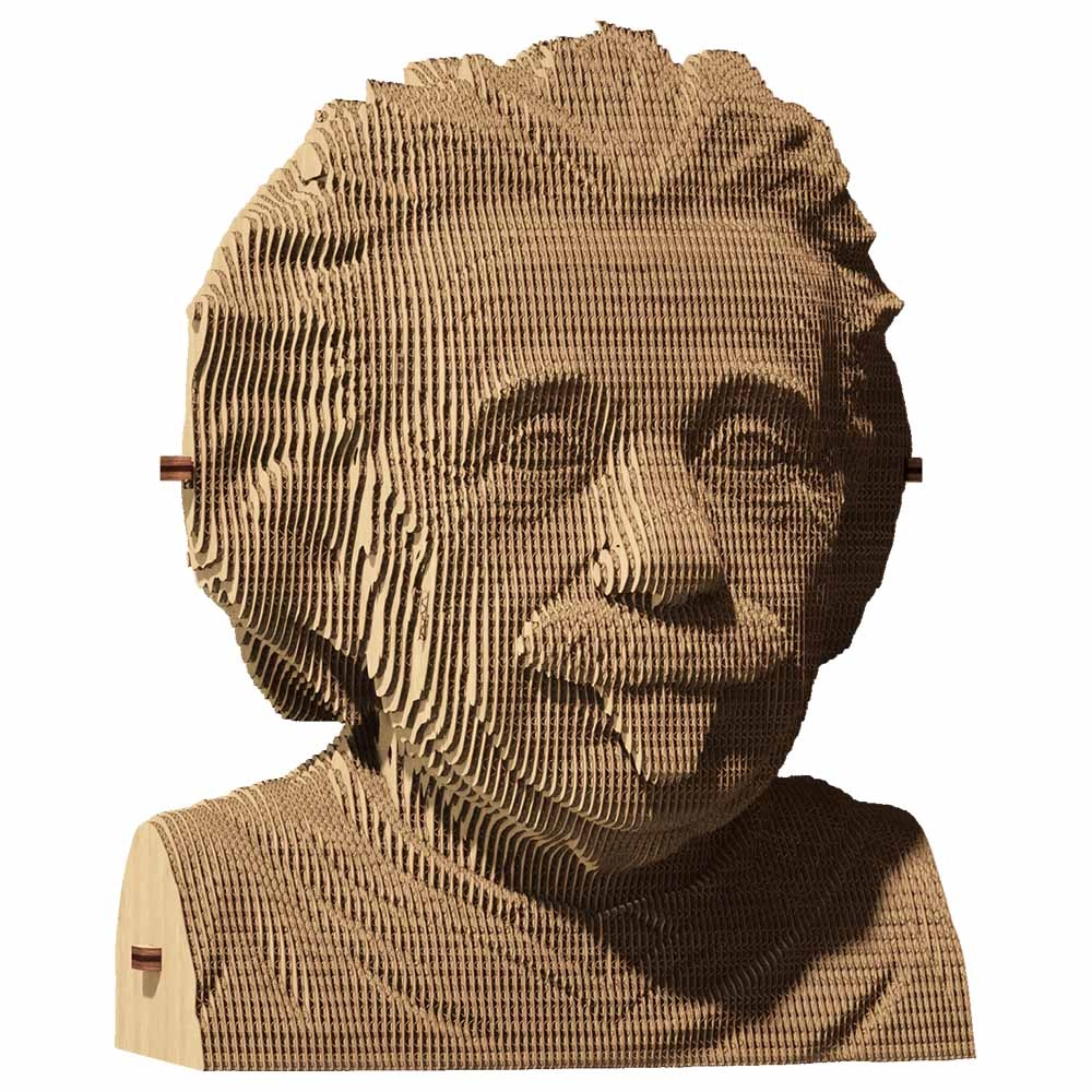 Albert Einstein 3D Puzzle (CARTMALB) - 172 pcs