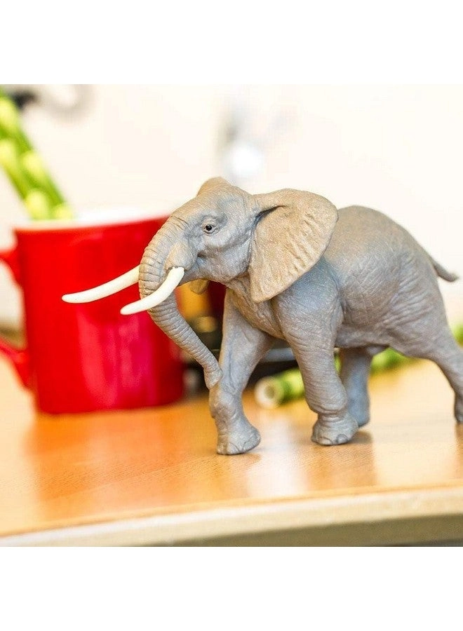 Wildlife - African Elephant