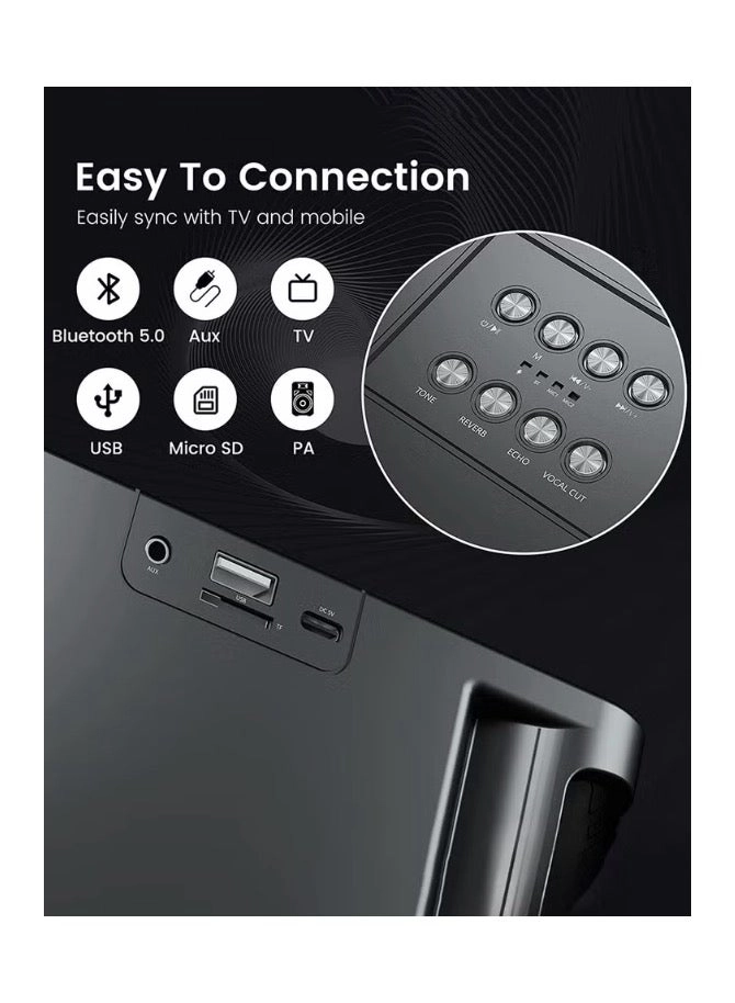 Wireless Karaoke Machine - 2 Microphones