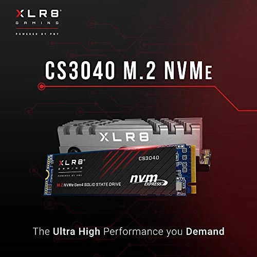 CS3040 - 500GB M 2