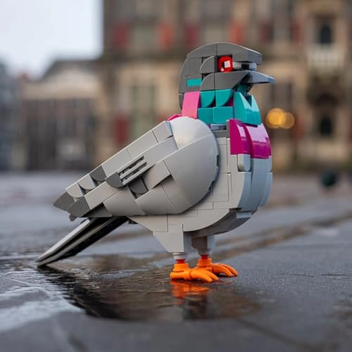 Feral Pigeon - Bird 255 pcs