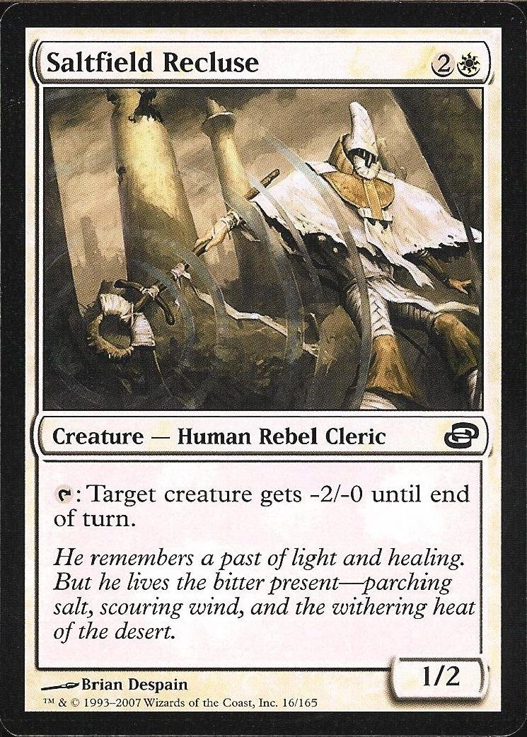 Wizards of the Coast Saltfield Recluse - Individual Card