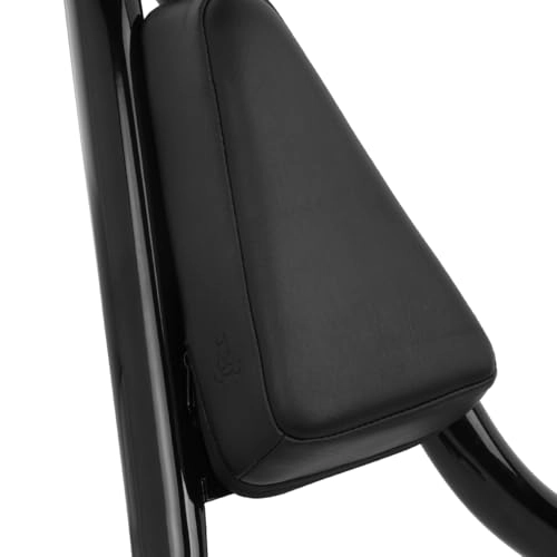 Havoc Sissy Bar