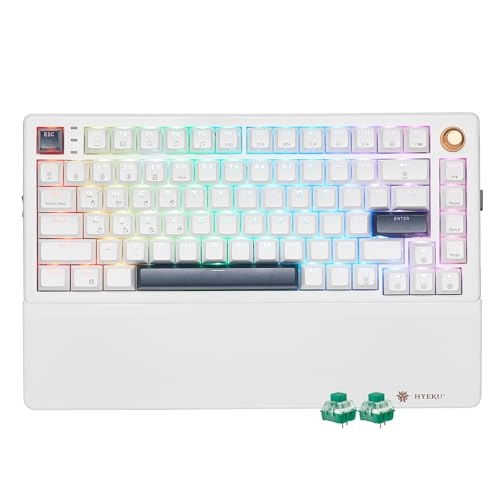 E2s Pro - Wired/Wireless