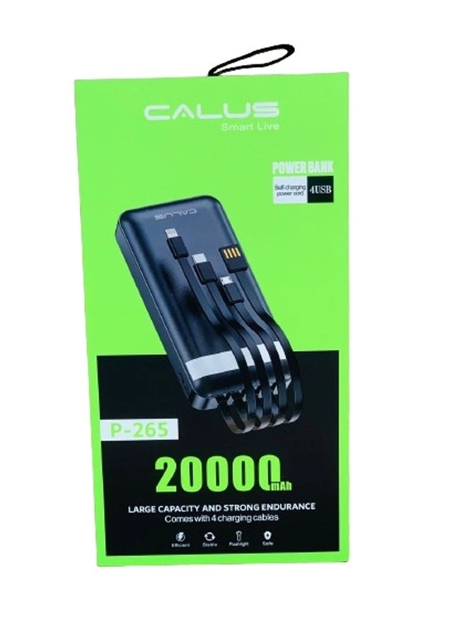 P-265 - 20,000mAh Fast Charging