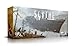 Scythe: The Wind Gambit Expansion