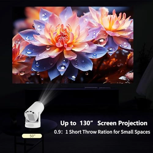 Mini Projector 200 ANSI lumens 1280 x 720 Pixels