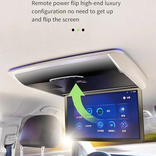 Car ceiling display - 15.6-inch 17.3-inch