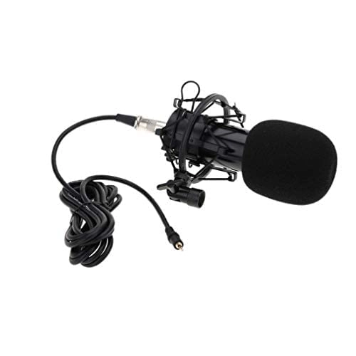 BM-800 3.5mm-Mini-Jack Microphone