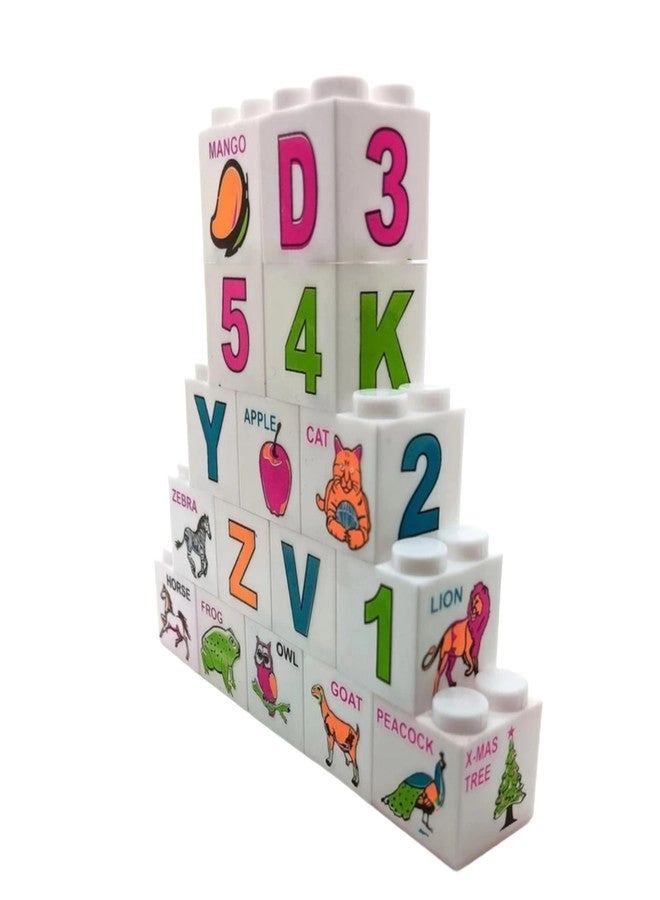 Play Blocks - 12 Pieces