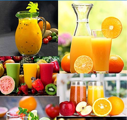 Electric Fruit Squeezer