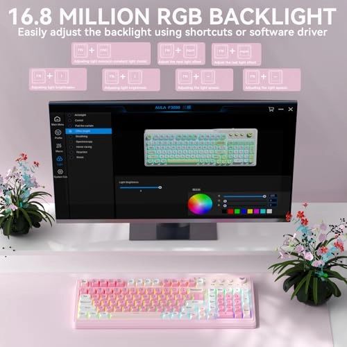 F3099 - Wired/Wireless