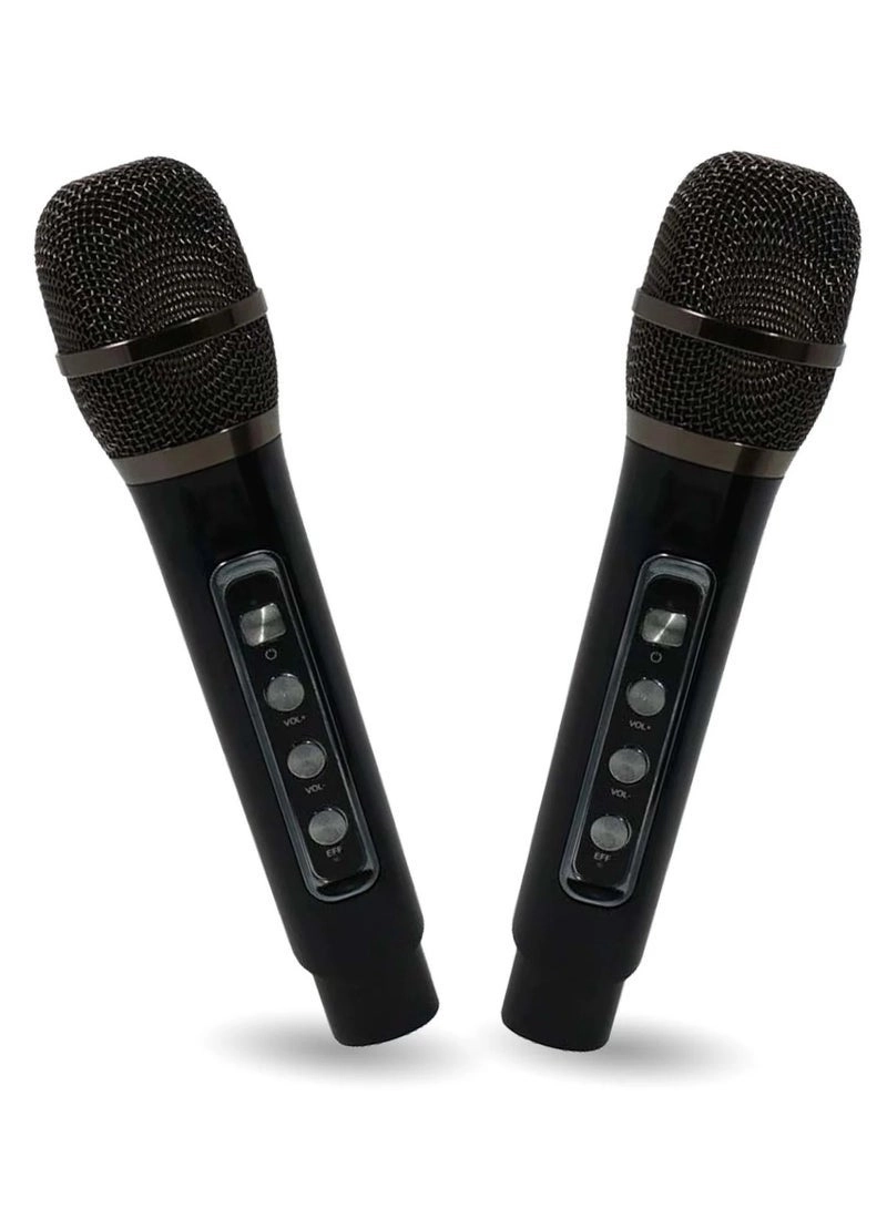 M25 - Wireless Bluetooth Karaoke System