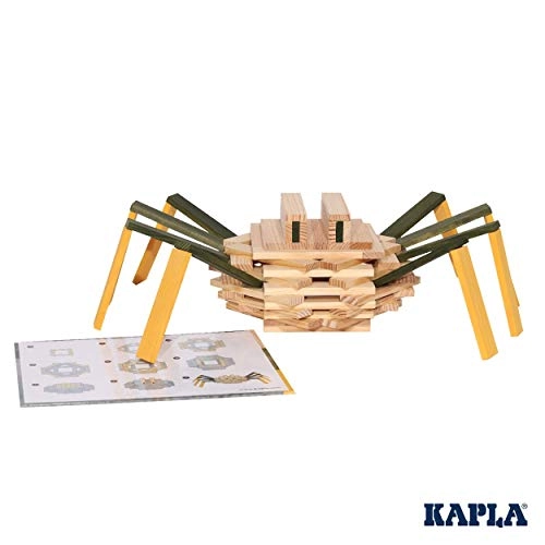 Spider Case - Cartoon